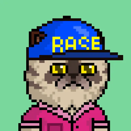 Mr. Miggles NFT artwork