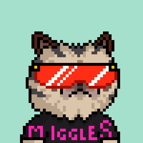 Mr. Miggles NFT artwork