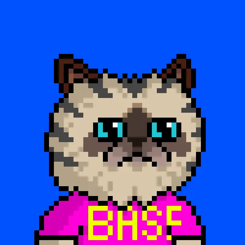 Mr. Miggles NFT artwork